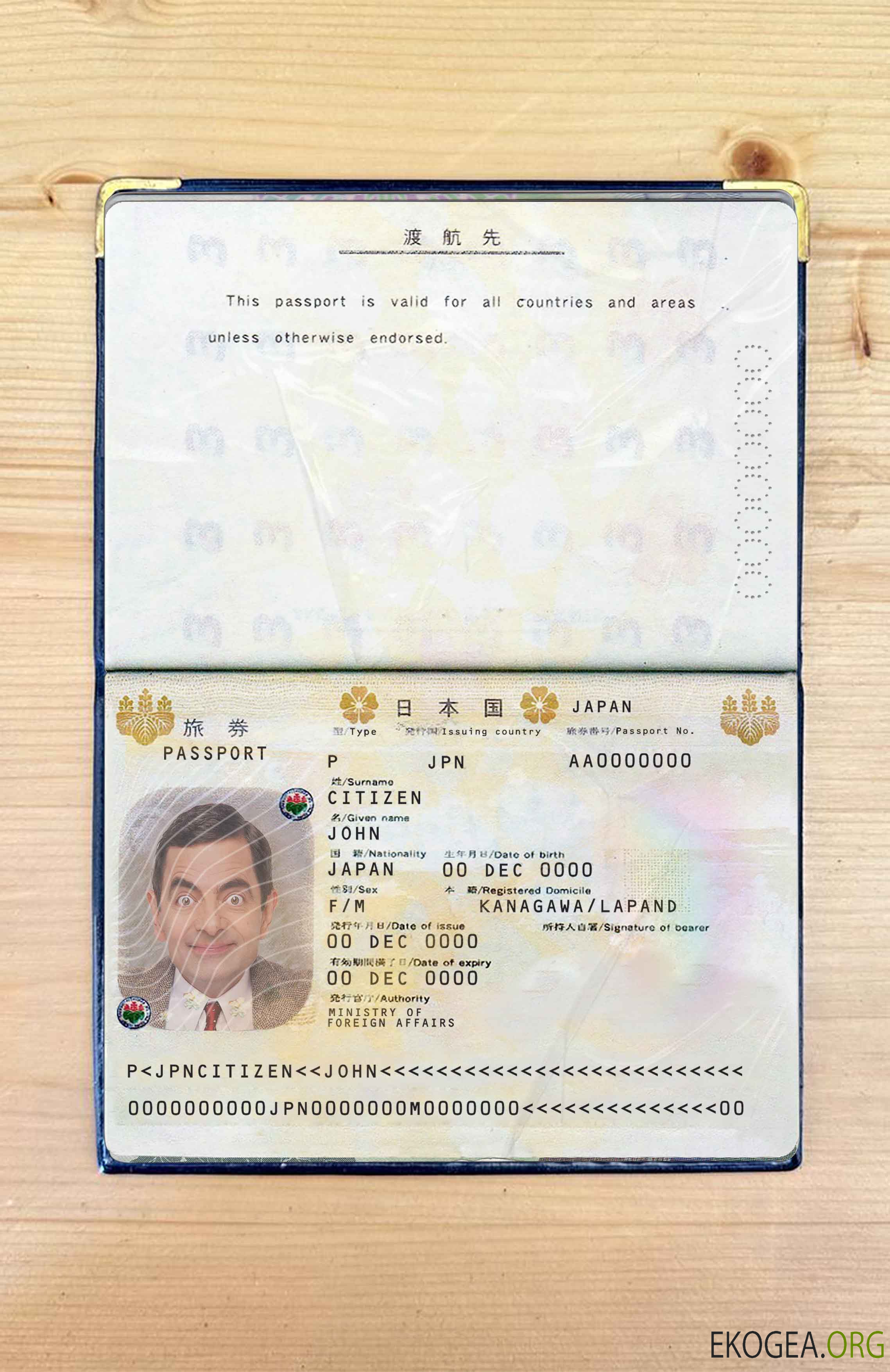 Look photo du Japan Pass